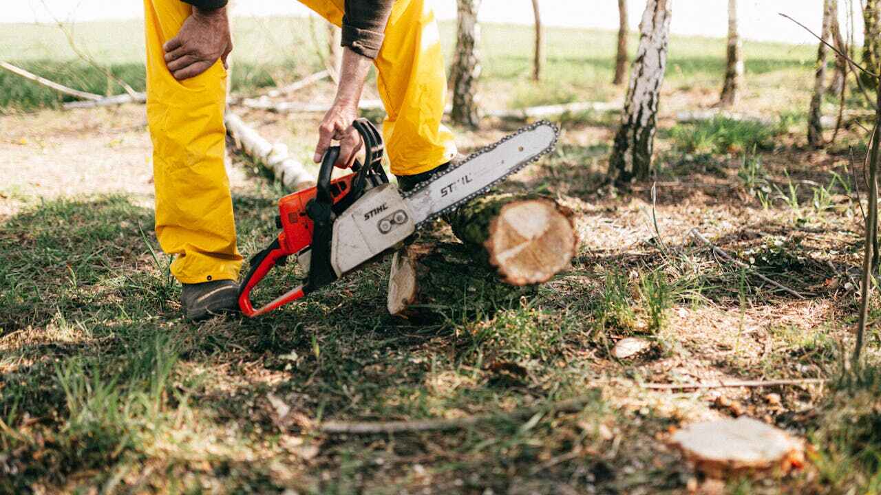 Best Tree Pruning Services  in Garden View, PA